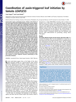 Coordination of Auxin-Triggered Leaf Initiation by Tomato LEAFLESS