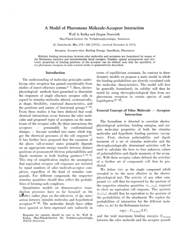 A Model of Pheromone Molecule-Acceptor Interaction Wolf A