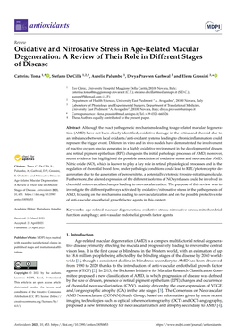 Oxidative and Nitrosative Stress in Age-Related Macular Degeneration: a Review of Their Role in Different Stages of Disease