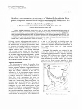 A-'Ye Cut Terra~E~ of Modern Dodavari Delta: Their Genesis