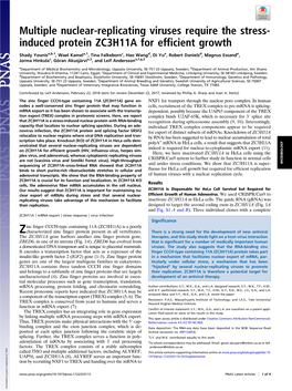 Multiple Nuclear-Replicating Viruses Require the Stress-Induced Protein