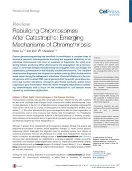 Rebuilding Chromosomes After Catastrophe: Emerging