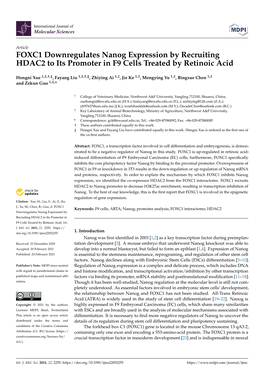 FOXC1 Downregulates Nanog Expression by Recruiting HDAC2 to Its Promoter in F9 Cells Treated by Retinoic Acid