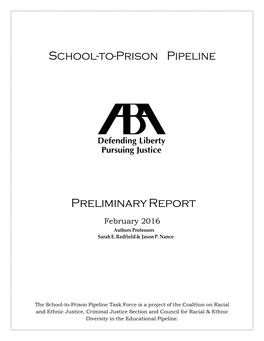 School-To-Prison Pipeline Preliminary Report