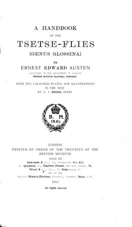 Austentsetseflies1911.Pdf