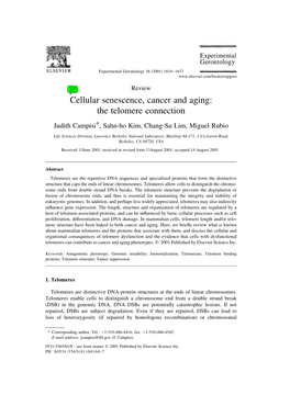 Cellular Senescence, Cancer and Aging: the Telomere Connection