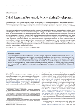 Cyfip1 Regulates Presynaptic Activity During Development