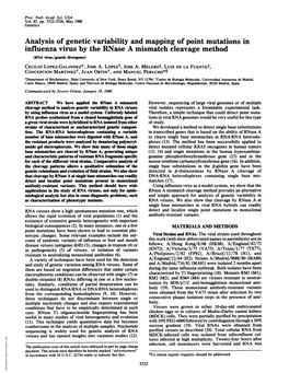 Analysis of Genetic Variability and Mapping of Point Mutations in Influenza Virus by the Rnase a Mismatch Cleavage Method