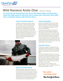 Wild Nunavut Arctic Char Nunavut, Canada