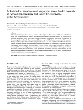 Mitochondrial Sequences and Karyotypes Reveal Hidden Diversity in African Pouched Mice (Subfamily Cricetomyinae, Genus Saccostomus)