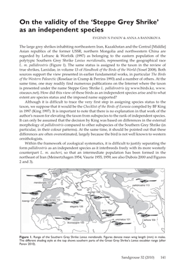 Steppe Grey Shrike’ As an Independent Species EVGENIY N PANOV & ANNA a BANNIKOVA