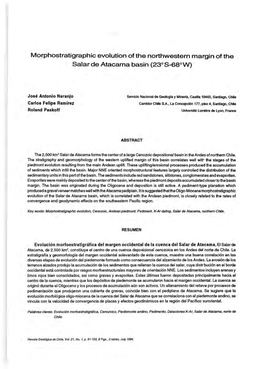 Morphostratigraphic Evolution of the Northwestern Margin of the Salar De Atacama Basin (230 S-68°W)