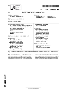 Method for Making a Biofabricated Material Containing Collagen Fibrils