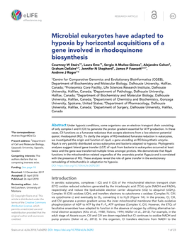 Microbial Eukaryotes Have Adapted to Hypoxia by Horizontal Acquisitions of a Gene Involved in Rhodoquinone Biosynthesis