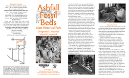 Ashfall Fossil Beds Brochure