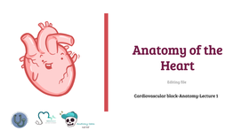 Anatomy of the Heart