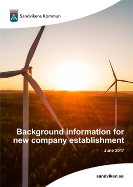 Background Information for New Company Establishment June 2017
