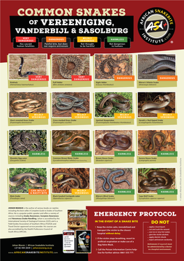 Common Snakes of Vereeniging, Vanderbijl & Sasolburg