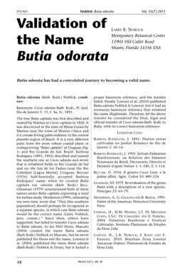 Validation of the Name Butia Odorata