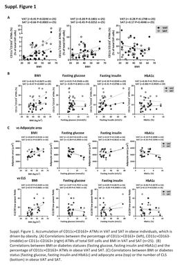 Supplemental Material 1 (PDF)