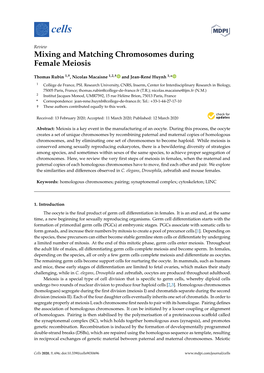 Mixing and Matching Chromosomes During Female Meiosis