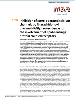 Inhibition of Store-Operated Calcium Channels by N-Arachidonoyl Glycine