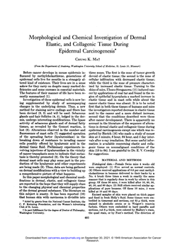 Elastic, and Collagenic Tissue During Jipiaermai @Arcinogenesis Morphological and Chemical Investigation of Dermal