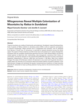 Mitogenomes Reveal Multiple Colonization of Mountains by Rattus in Sundaland Miguel Camacho-Sanchez and Jennifer A