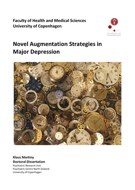 Novel Augmentation Strategies in Major Depression Doctoral Dissertation