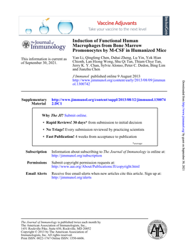 Promonocytes by M-CSF in Humanized Mice Macrophages