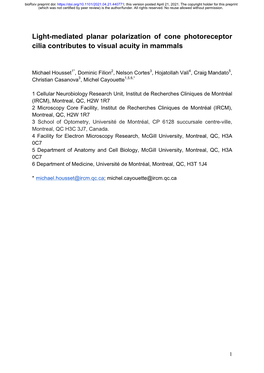 Light-Mediated Planar Polarization of Cone Photoreceptor Cilia Contributes to Visual Acuity in Mammals