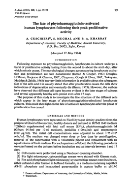 The Fate of Phytohaemagglutinin-Activated Human Lymphocytes Following Their Peak Proliferative Activity A