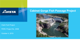 Cabinet Gorge Fish Passage Project