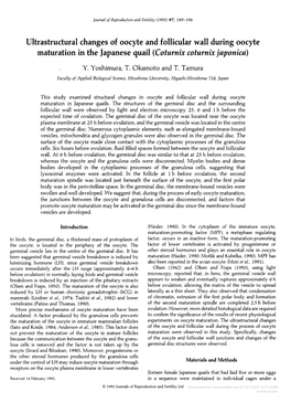 Ultrastructural Changes of Oocyte and Follicular Wall During Oocyte Maturation in the Japanese Quail (Coturnix Coturnix Japonica) Y