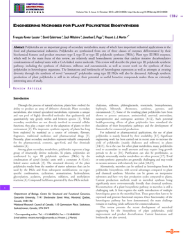 Engineering Microbes for Plant Polyketide Biosynthesis