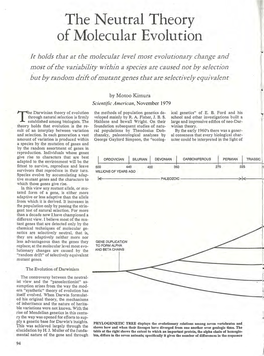 The Neutral Theory of Molecular Evolution