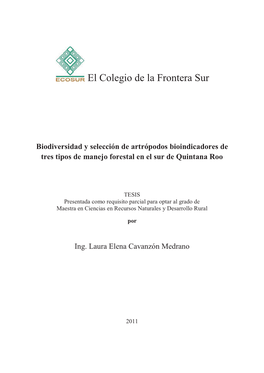 Biodiversidad Y Selección De Artrópodos Bioindicadores De Tres Tipos De Manejo Forestal En El Sur De Quintana Roo