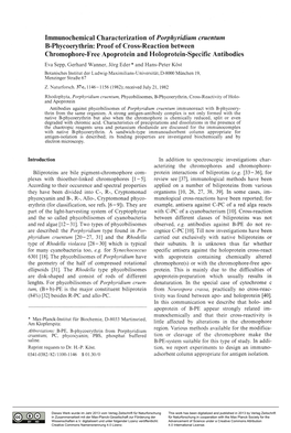 Immunochemical Characterization of Porphyridium Cruentum B-Phycoerythrin