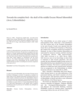The Skull of the Middle Eocene Messel Lithornithid (Aves, Lithornithidae)