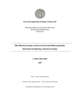 Plio-Pleistocene Large Carnivores from the Italian Peninsula: Functional Morphology and Macroecology