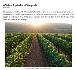 Archives a Virtual Trip to Ponzi Vineyards