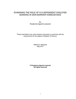 Examining the Role of K14 Dependent Disulfide Bonding in Skin Barrier Homeostasis
