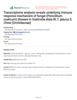 (Penicillium Oxalicum) Disease in Gastrodia Elata Bl