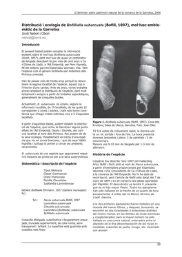 Distribució I Ecologia De Bofilliella Subarcuata (Bofill, 1897), Mol·Lusc