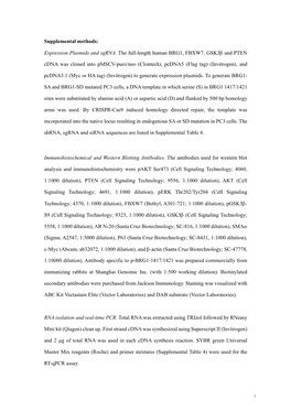 Expression Plasmids and Sgrna. the Full-Length Human BRG1, FBXW7