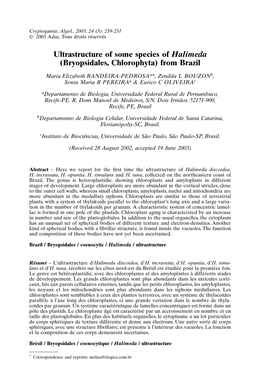 Ultrastructure of Some Species of Halimeda (Bryopsidales, Chlorophyta) from Brazil