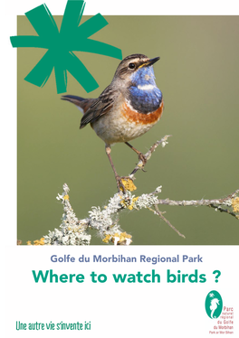 Where to Watch Birds ? the Main Observation Sites