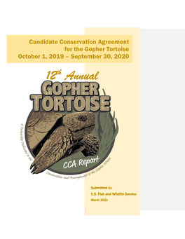 12Th Annual Gopher Tortoise Candidate Conservation Agreement Report