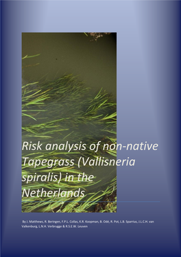 Risk Analysis of Non-Native Tapegrass (Vallisneria Spiralis) in the Netherlands