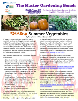 Summer Vegetables the Master Gardening Bench